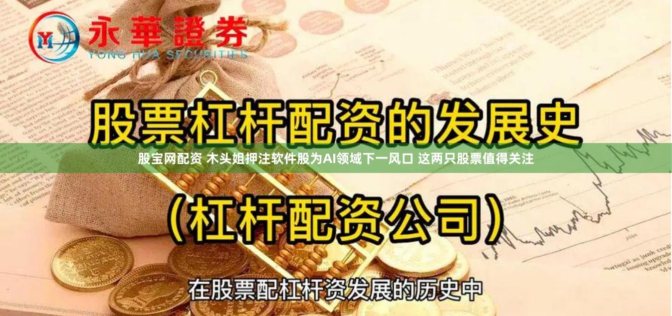 股宝网配资 木头姐押注软件股为AI领域下一风口 这两只股票值得关注