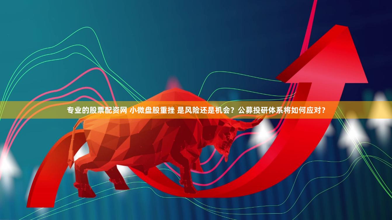专业的股票配资网 小微盘股重挫 是风险还是机会？公募投研体系将如何应对？