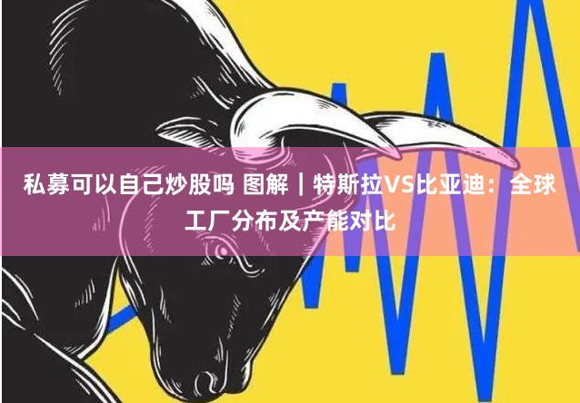 私募可以自己炒股吗 图解｜特斯拉VS比亚迪：全球工厂分布及产能对比