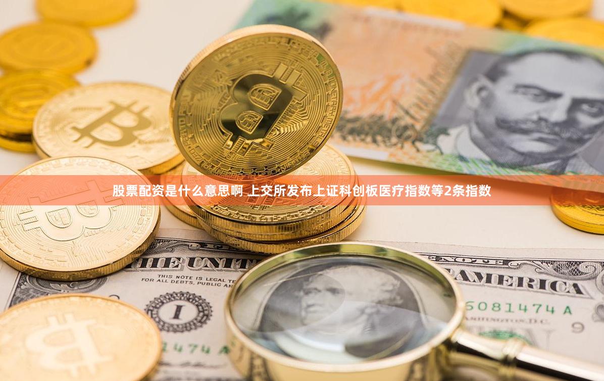 股票配资是什么意思啊 上交所发布上证科创板医疗指数等2条指数