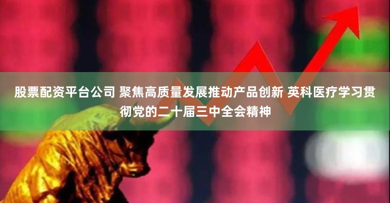 股票配资平台公司 聚焦高质量发展推动产品创新 英科医疗学习贯彻党的二十届三中全会精神