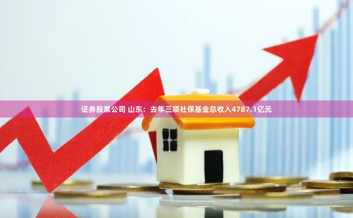 证券股票公司 山东：去年三项社保基金总收入4787.1亿元