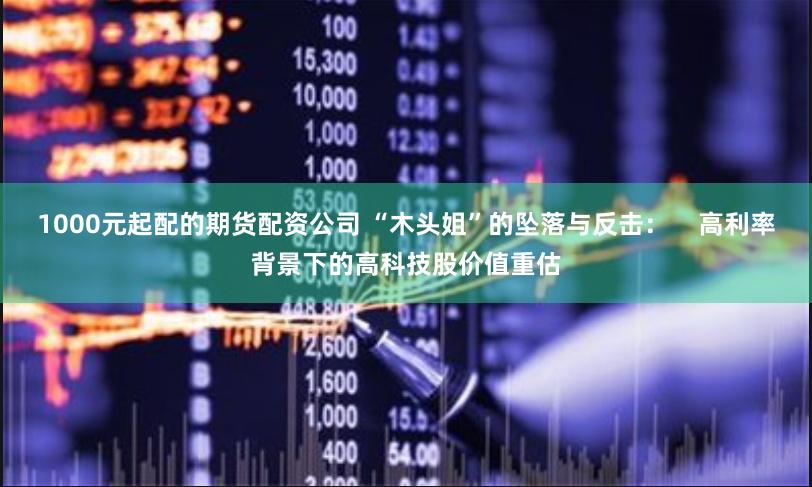 1000元起配的期货配资公司 “木头姐”的坠落与反击：    高利率背景下的高科技股价值重估