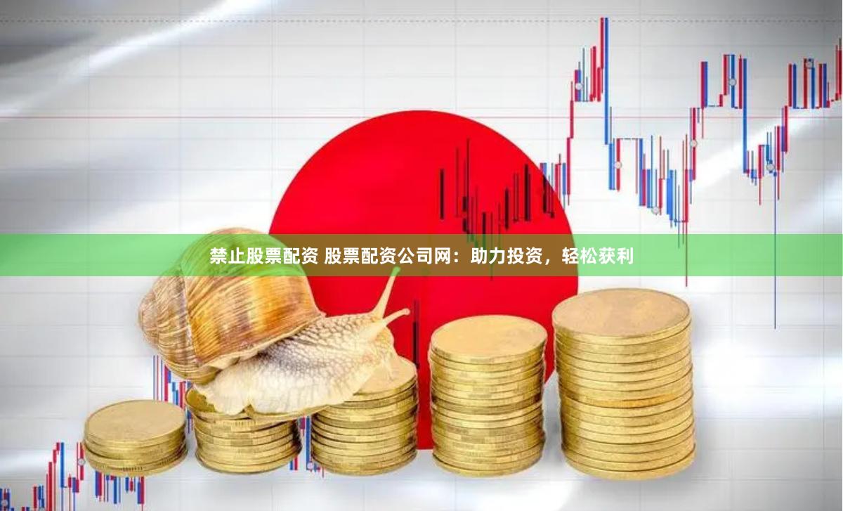 禁止股票配资 股票配资公司网：助力投资，轻松获利